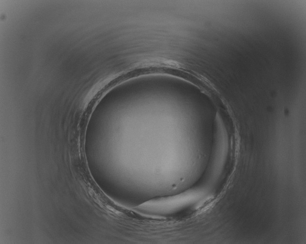 X0000053090877200507181716