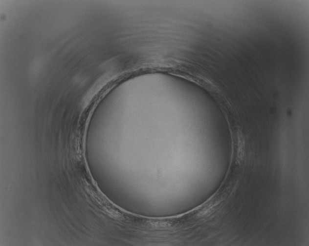 X0000053090878200507181716