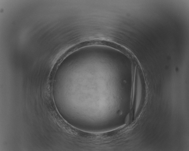 X0000053090879200507181716