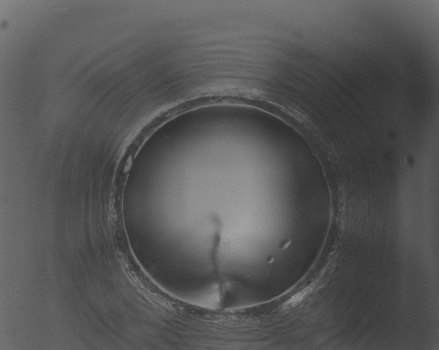 X0000053090880200507181716