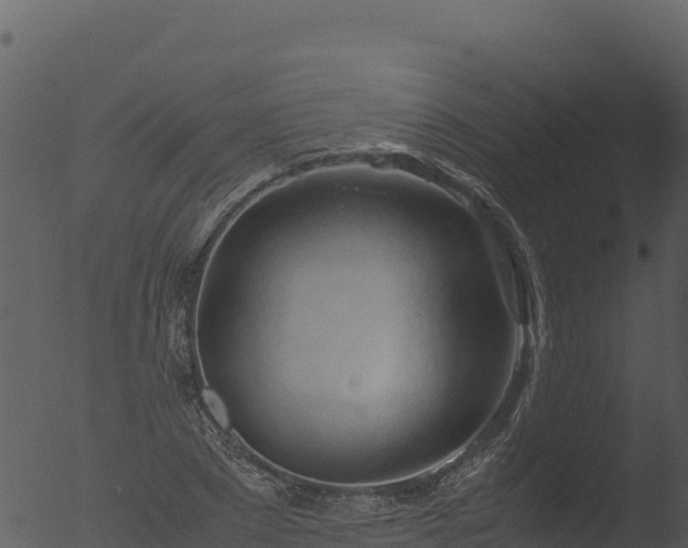 X0000053090881200507181716