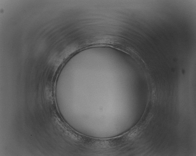 X0000053090882200507181716