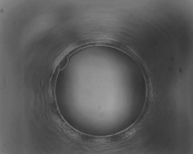 X0000053090883200507181716