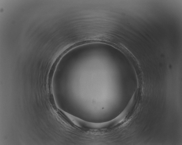 X0000053090884200507181716