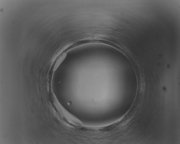 X0000053090885200507181716