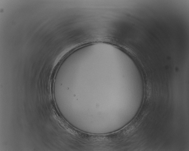 X0000053090886200507181716