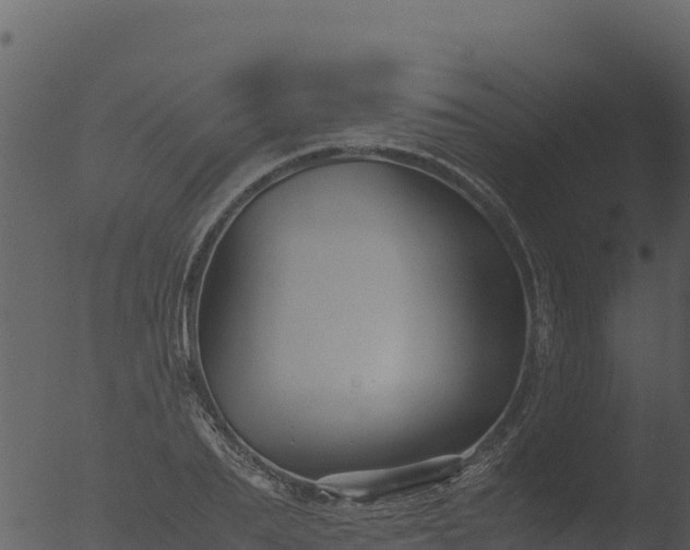 X0000053090887200507181716