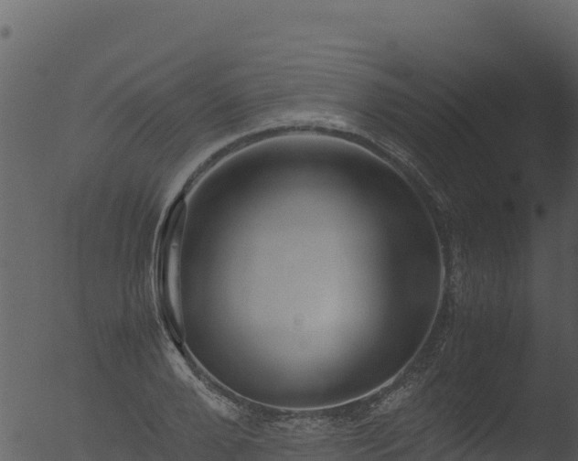 X0000053090888200507181716