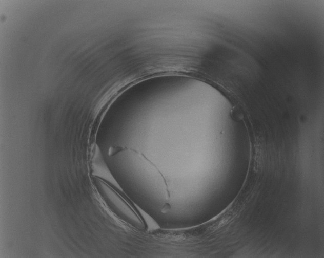 X0000053090890200507181716