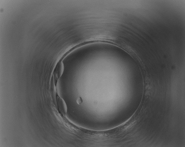 X0000053090892200507181716