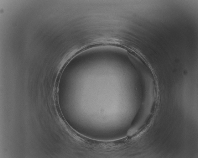 X0000053090893200507181716