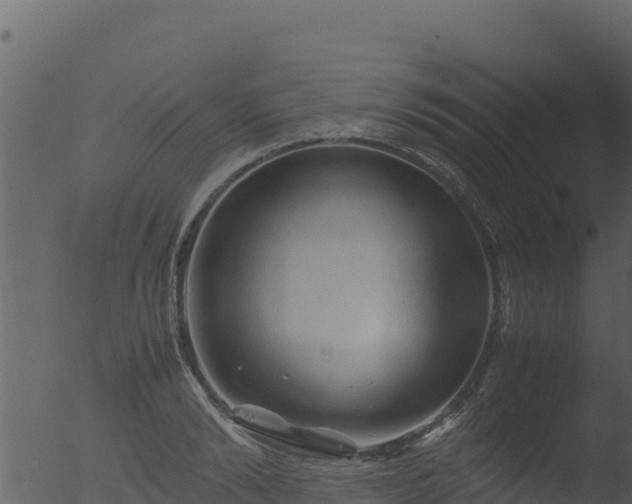 X0000053090894200507181716