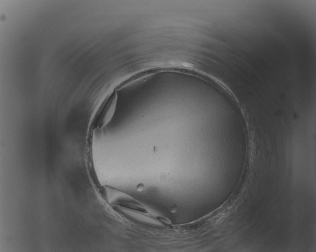 X0000053090895200507181716