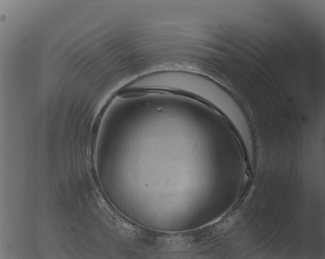 X0000053090896200507181716