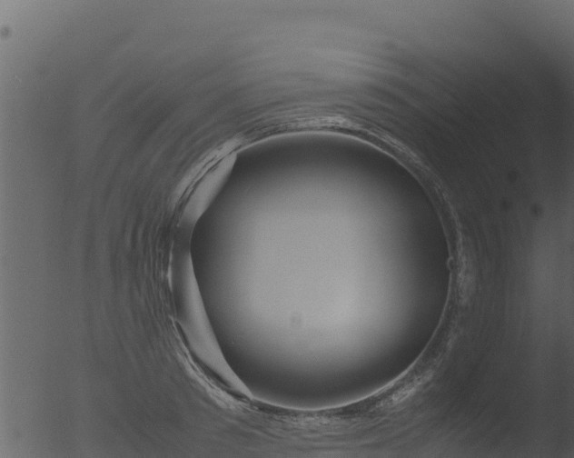 X0000053090897200507181716