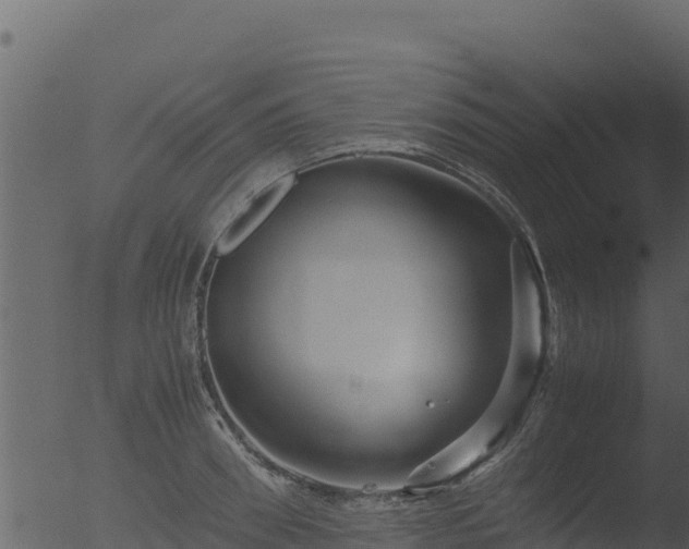 X0000053090898200507181715