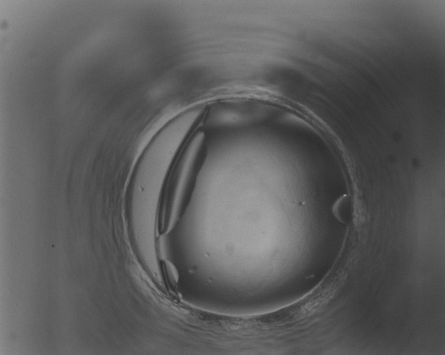 X0000053090899200507181715