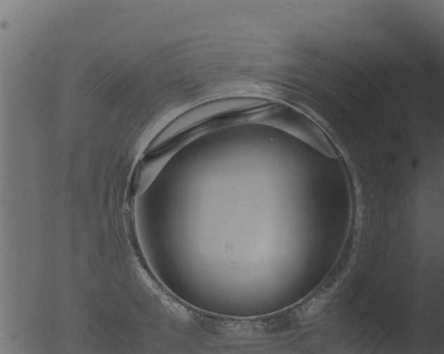 X0000053090901200507181715