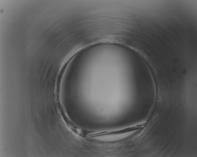 X0000053090902200507181715