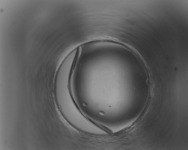 X0000053090903200507181715