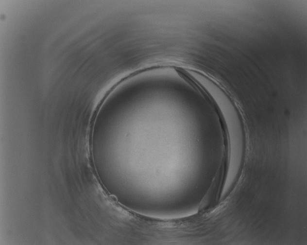 X0000053090904200507181715