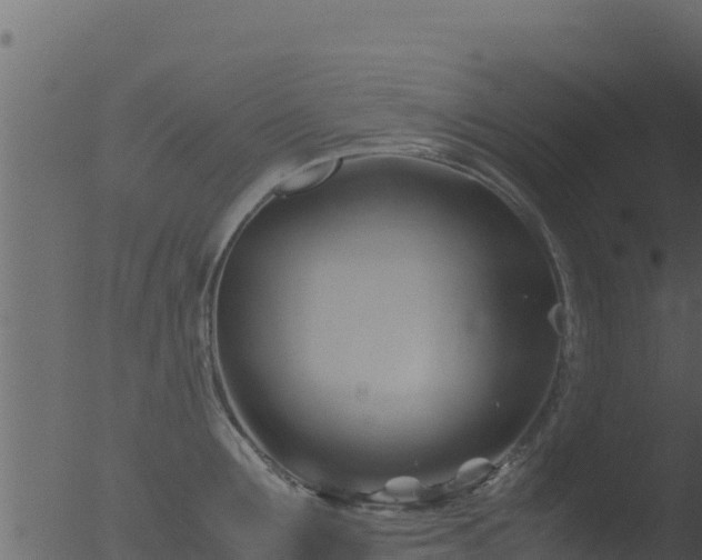 X0000053090907200507181715