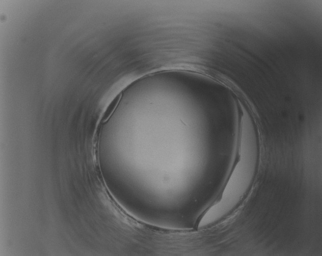 X0000053090908200507181715