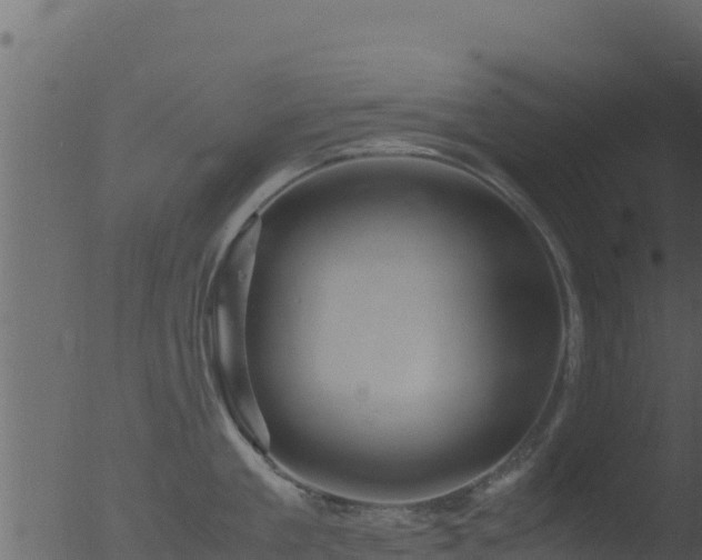 X0000053090909200507181715