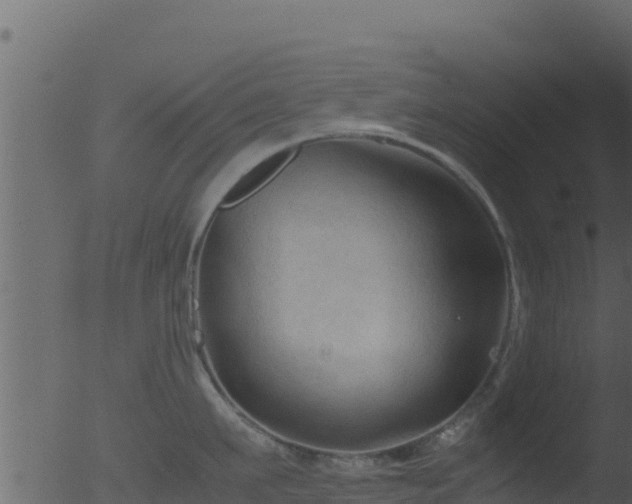 X0000053090911200507181715