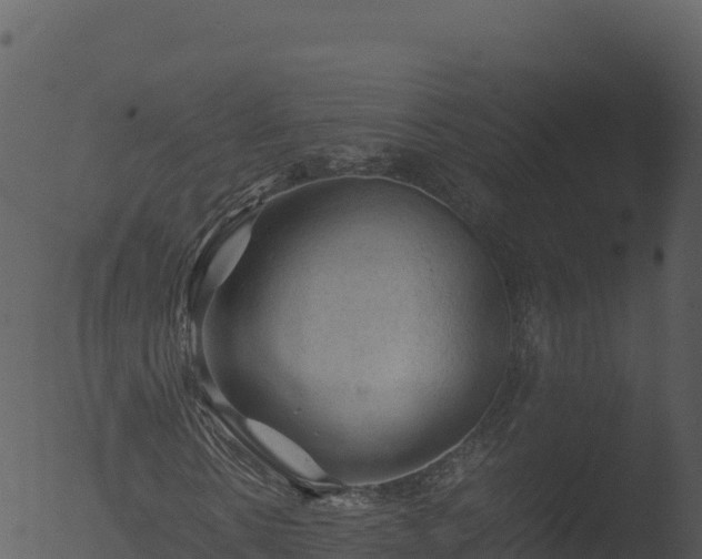 X0000053090914200507181714