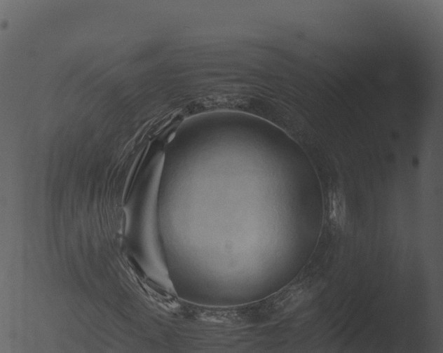 X0000053090915200507181714