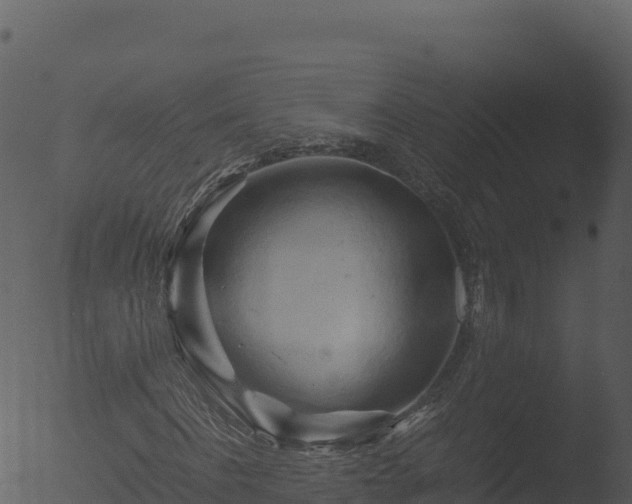 X0000053090916200507181714