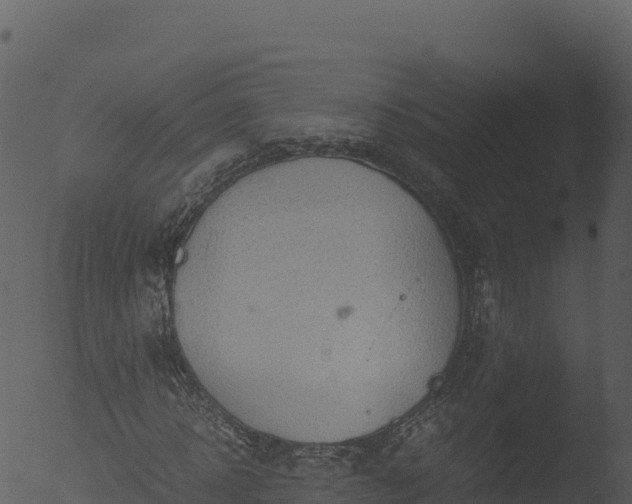 X0000053090918200507181715