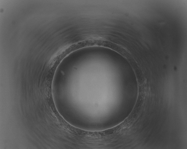 X0000053090919200507181715