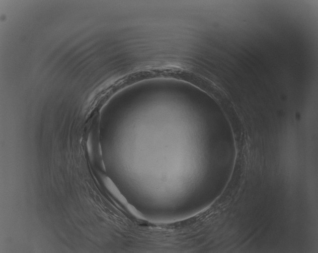 X0000053090920200507181715