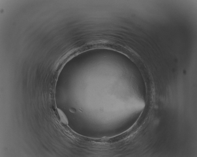 X0000053090921200507181715