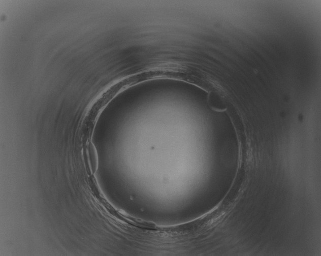 X0000053090923200507181715