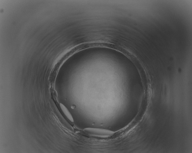 X0000053090925200507181715