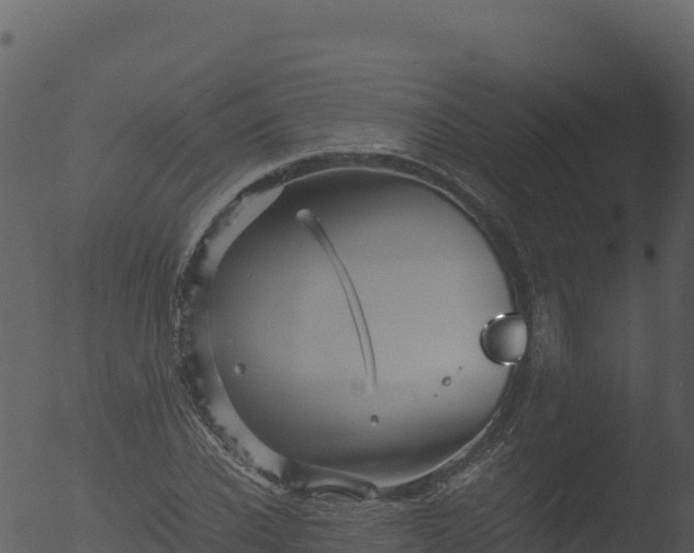 X0000053090926200507181715