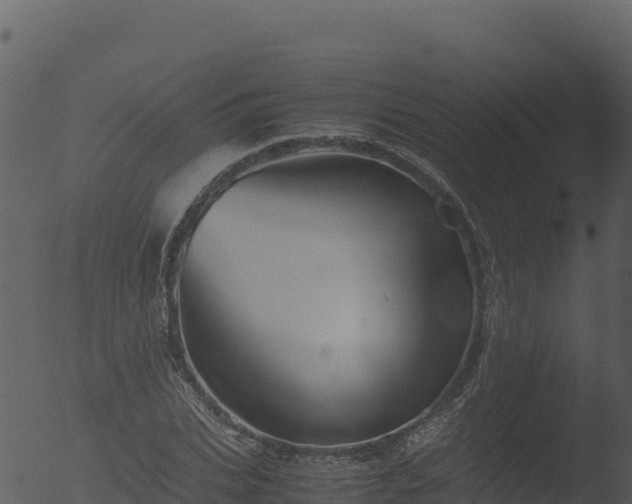 X0000053090927200507181715