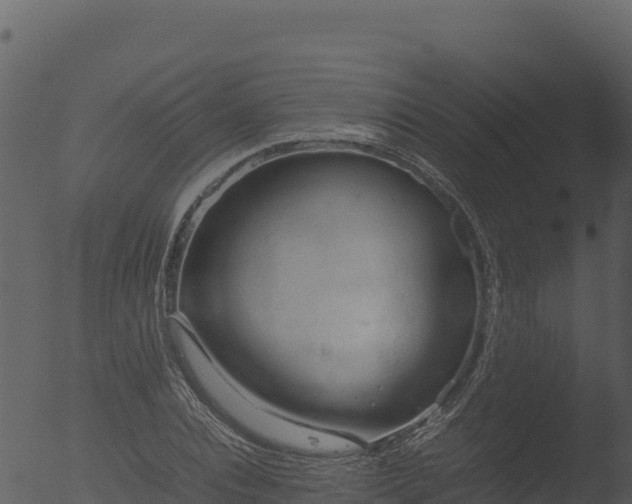 X0000053090928200507181715