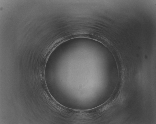 X0000053090929200507181715