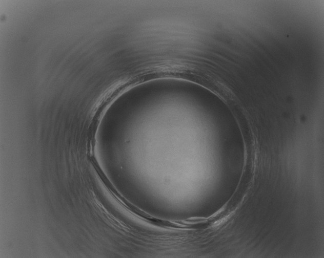 X0000053090930200507181715