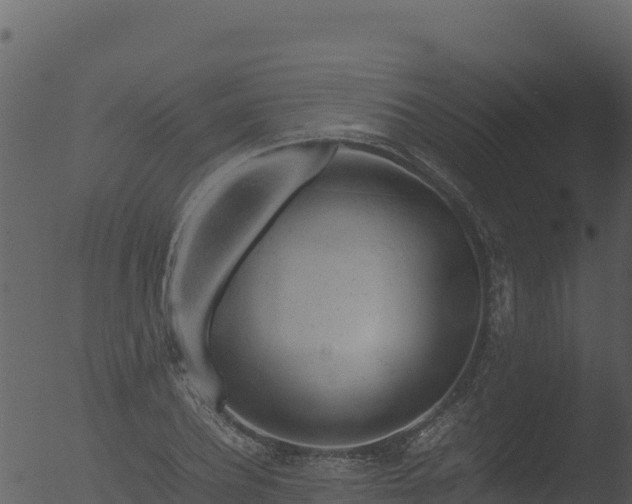 X0000053090932200507181715