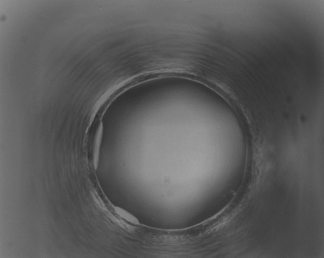 X0000053090933200507181715