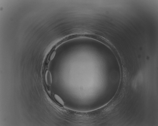 X0000053090935200507181715