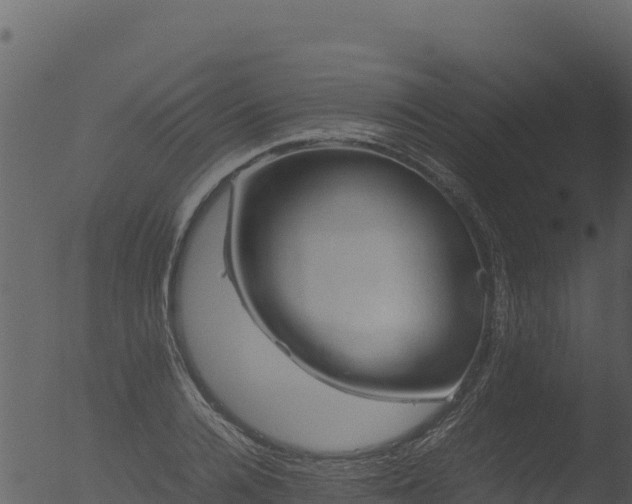 X0000053090936200507181715