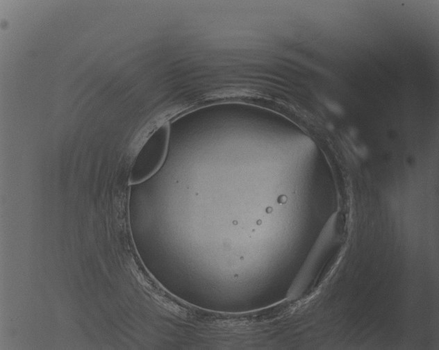 X0000053090937200507181715