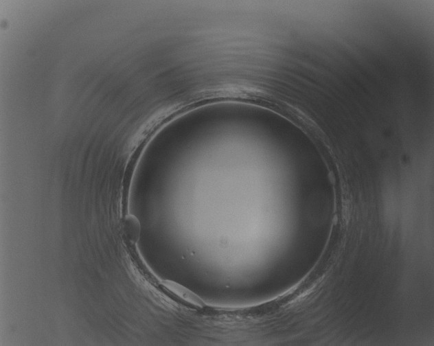 X0000053090938200507181715