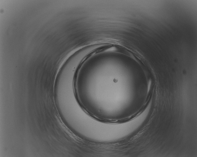 X0000053090940200507181715